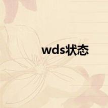 wds状态