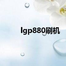 lgp880刷机