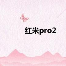 红米pro2