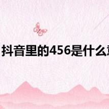 抖音里的456是什么意思