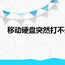 移动硬盘突然打不开