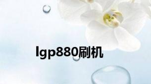 lgp880刷机