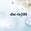 dsc-tx100