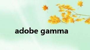 adobe gamma