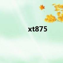 xt875