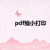 pdf缩小打印