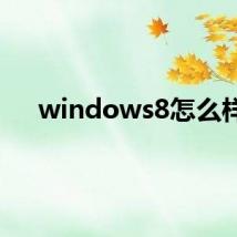 windows8怎么样