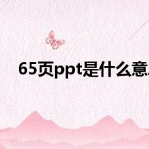 65页ppt是什么意思