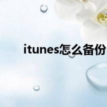 itunes怎么备份