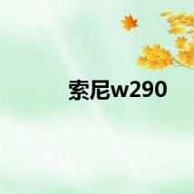 索尼w290