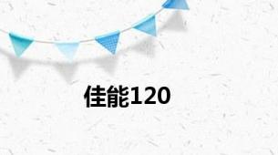 佳能120