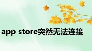 app store突然无法连接