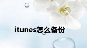 itunes怎么备份