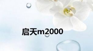 启天m2000