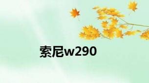 索尼w290