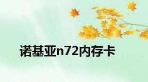 诺基亚n72内存卡