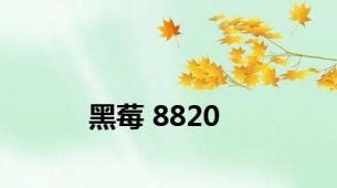 黑莓 8820