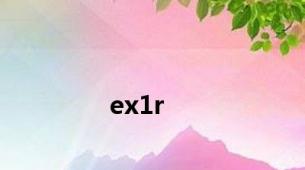 ex1r