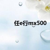 任e行mx500