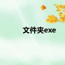 文件夹exe