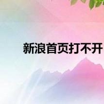 新浪首页打不开