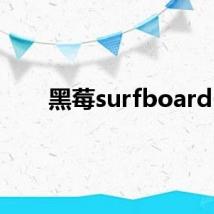 黑莓surfboard