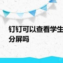 钉钉可以查看学生是否分屏吗