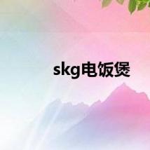 skg电饭煲