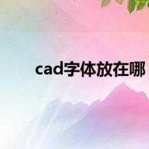 cad字体放在哪