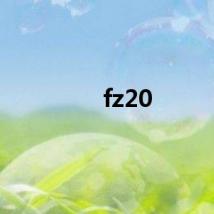 fz20