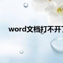 word文档打不开了