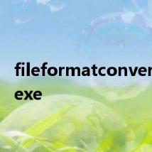 fileformatconverters.exe