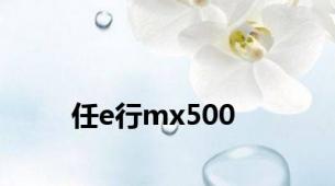 任e行mx500