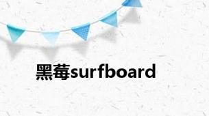 黑莓surfboard