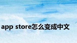 app store怎么变成中文