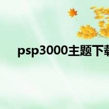 psp3000主题下载