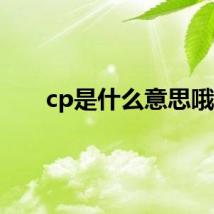 cp是什么意思哦