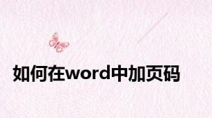 如何在word中加页码