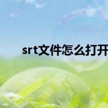 srt文件怎么打开