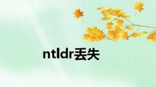 ntldr丢失