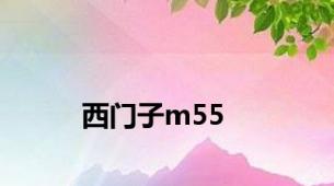 西门子m55