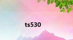 ts530