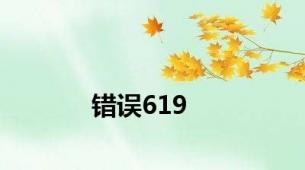 错误619