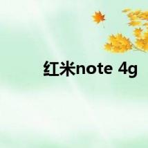 红米note 4g