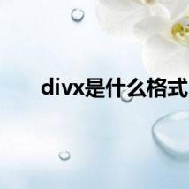 divx是什么格式