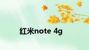 红米note 4g