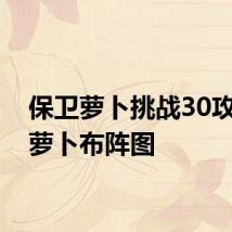 保卫萝卜挑战30攻略金萝卜布阵图