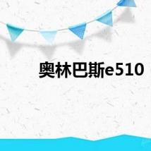 奥林巴斯e510