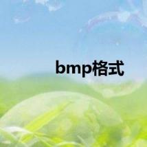 bmp格式