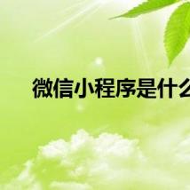 微信小程序是什么